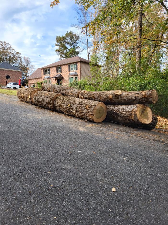 Southeast Tree - Marietta, GA