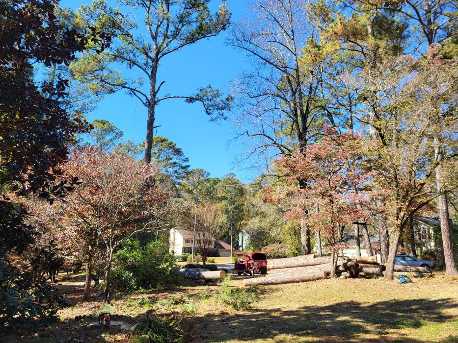 Southeast Tree - Marietta, GA