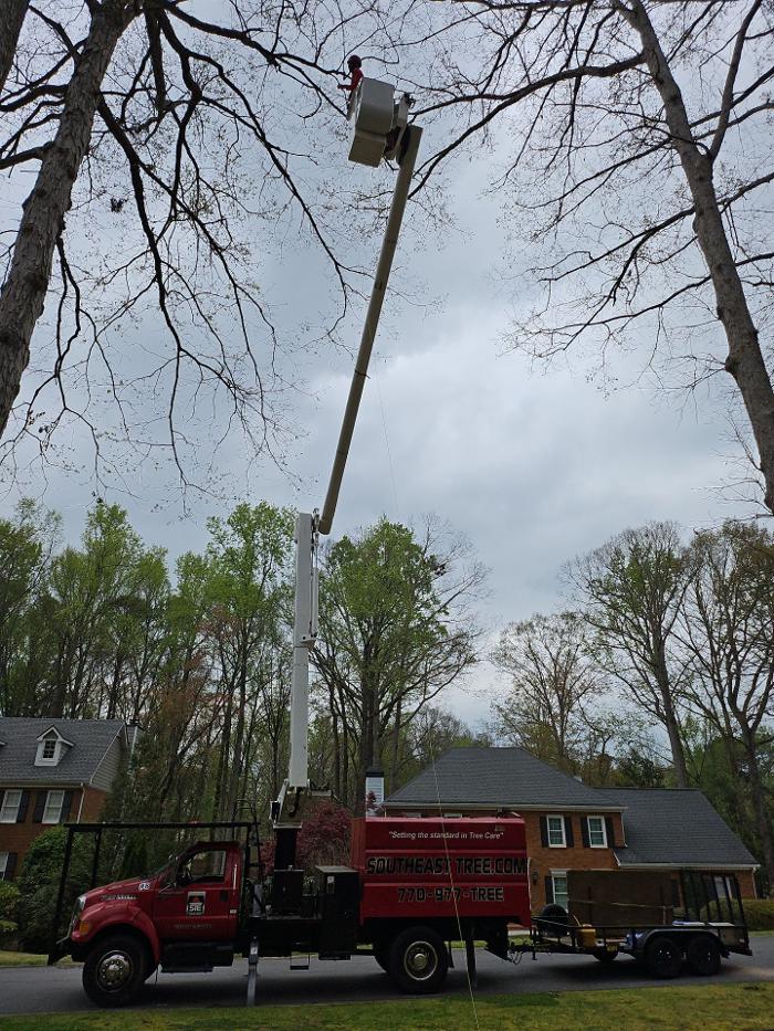 Southeast Tree - Marietta, GA