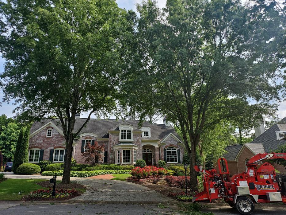 Southeast Tree - Marietta, GA