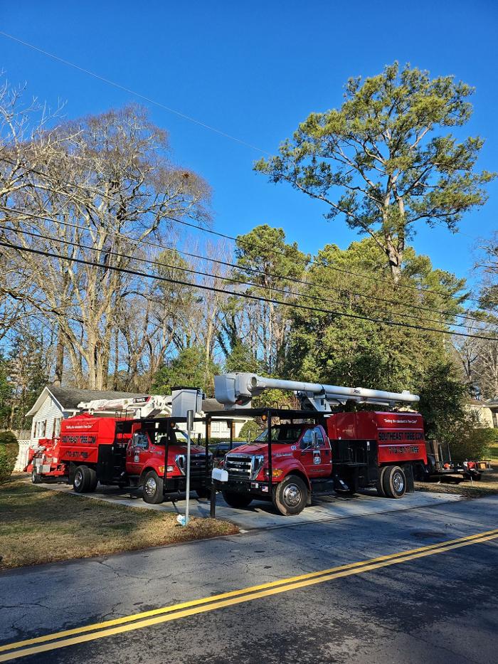 Southeast Tree - Marietta, GA