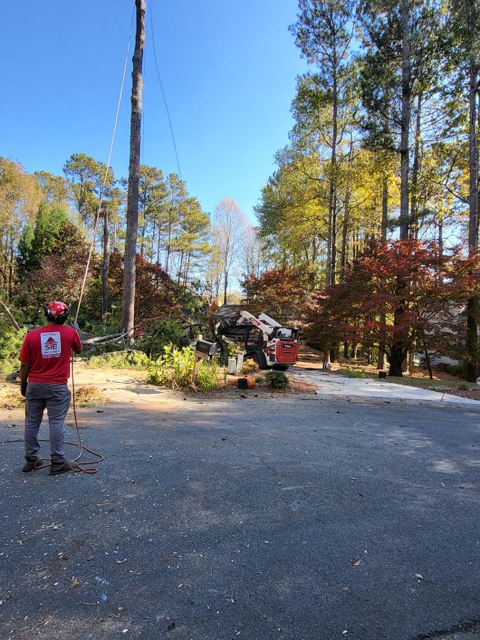 Southeast Tree - Marietta, GA