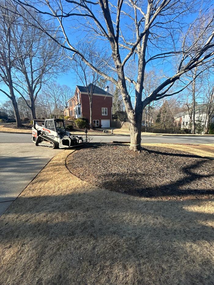 Southeast Tree - Marietta, GA