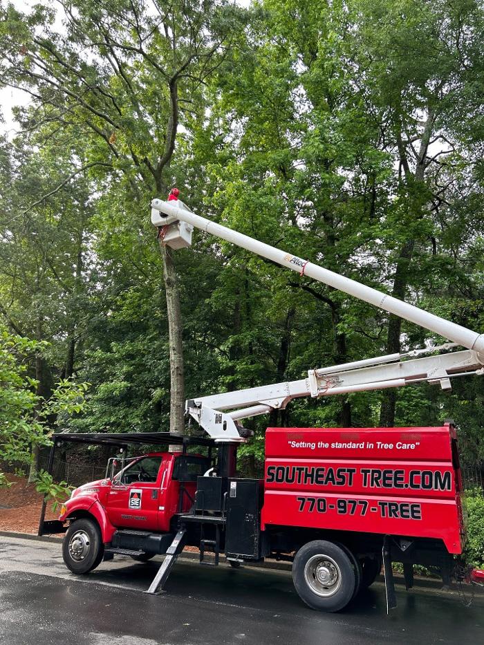 Southeast Tree - Marietta, GA