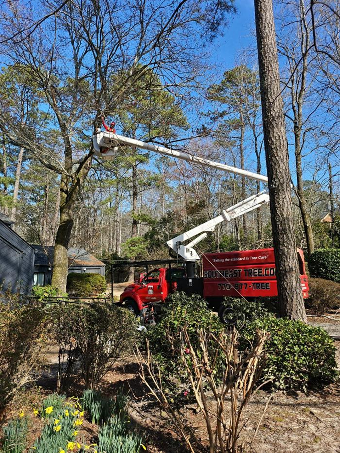 Southeast Tree - Marietta, GA