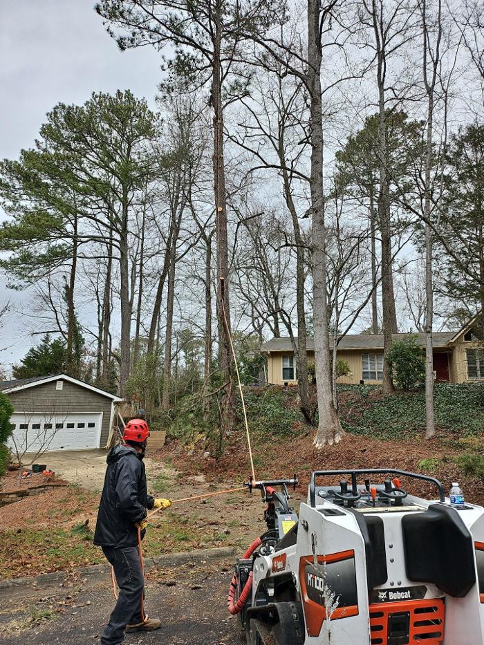 Southeast Tree - Marietta, GA