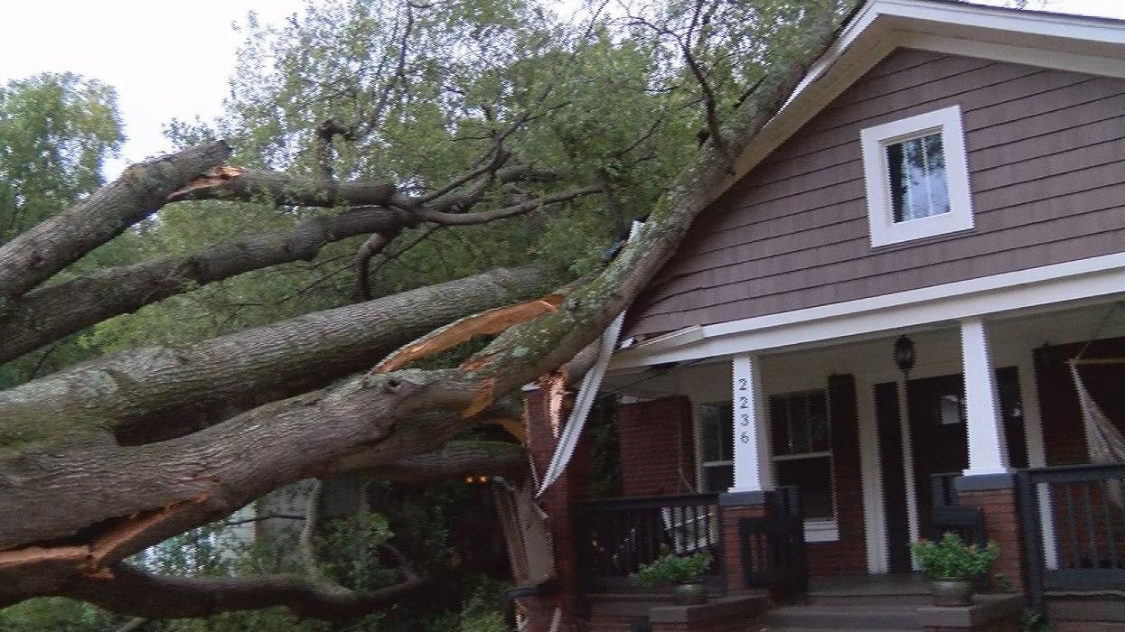 Southeast Tree - Marietta, GA
