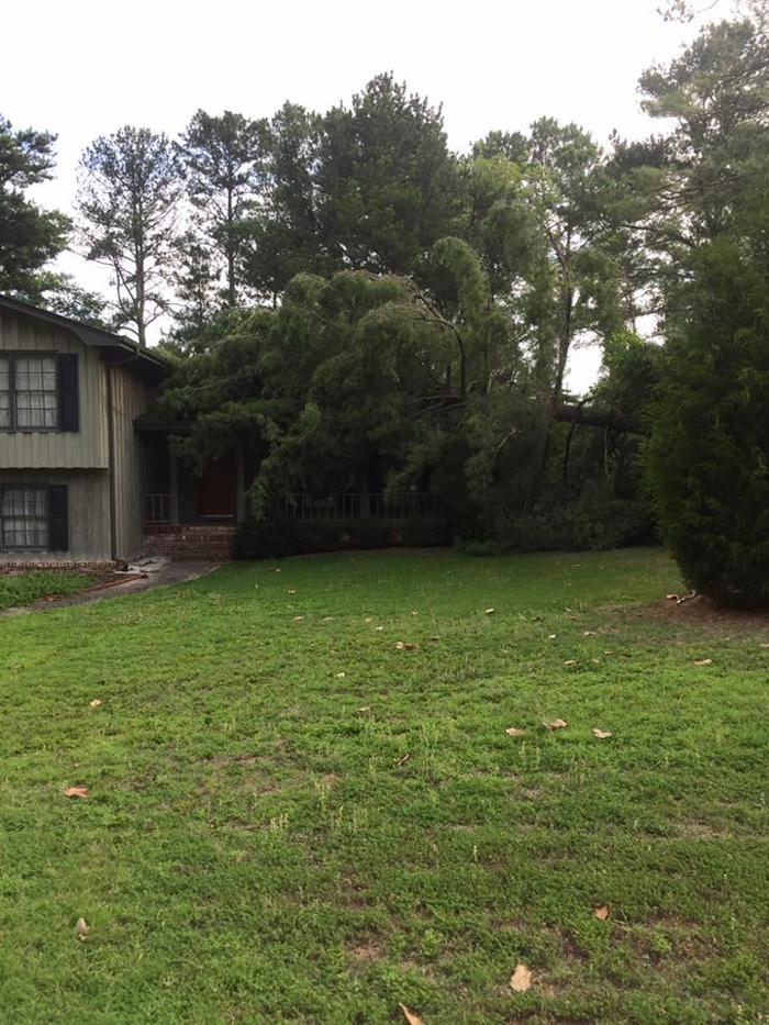 Southeast Tree - Marietta, GA