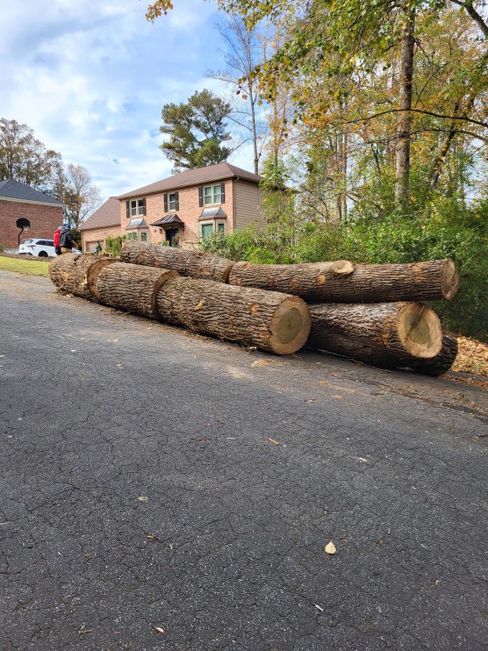 Southeast Tree - Marietta, GA