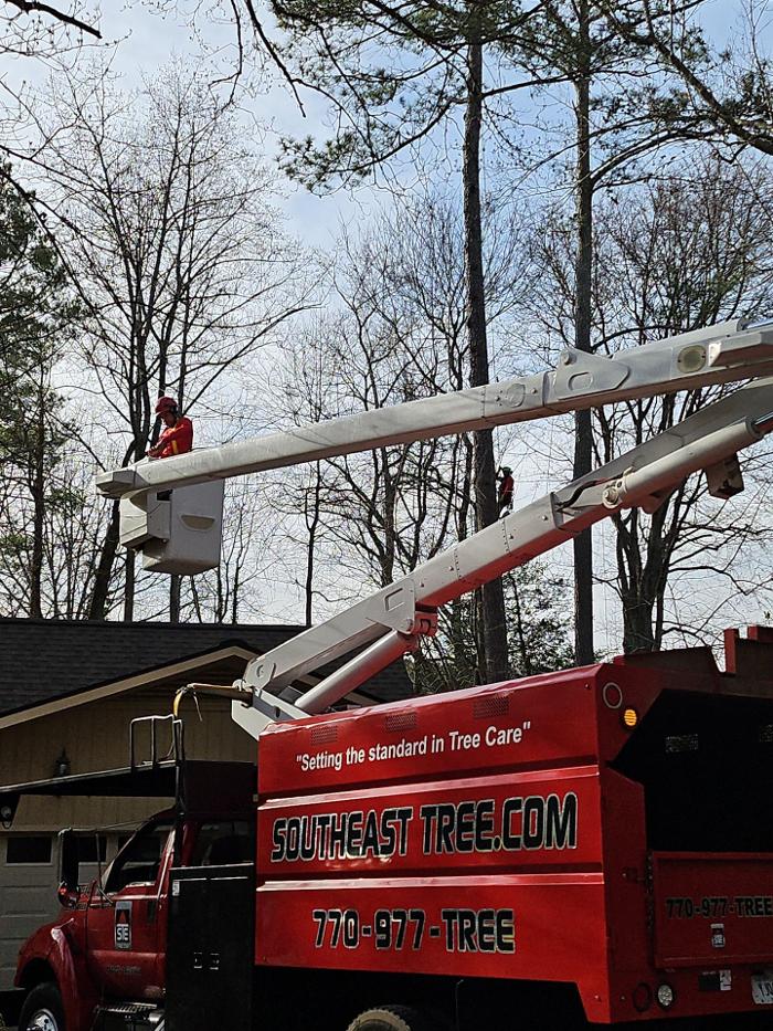 Southeast Tree - Marietta, GA