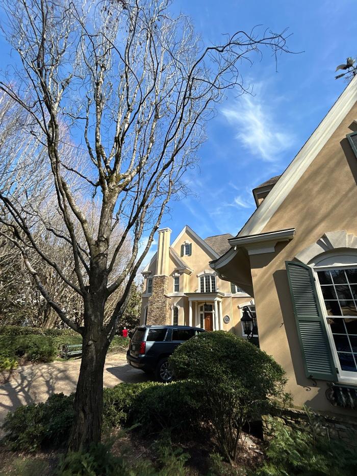 Southeast Tree - Marietta, GA