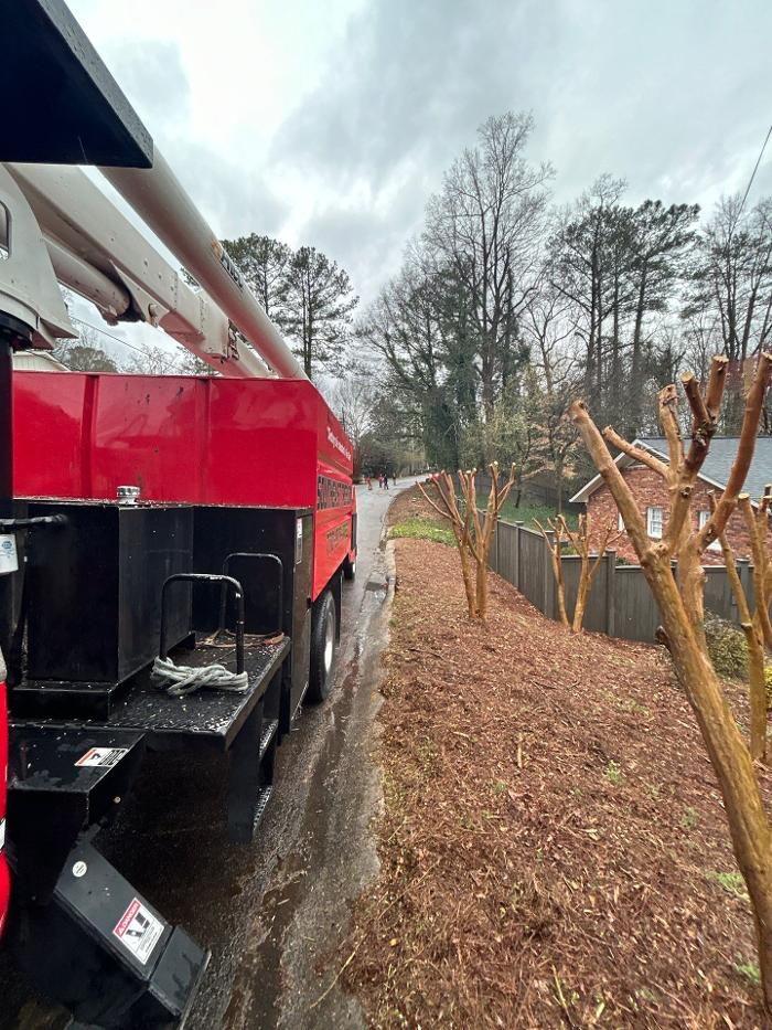 Southeast Tree - Marietta, GA