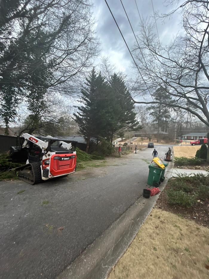 Southeast Tree - Marietta, GA