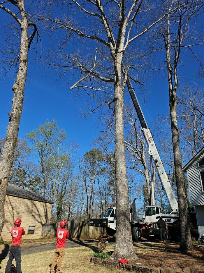 Southeast Tree - Marietta, GA