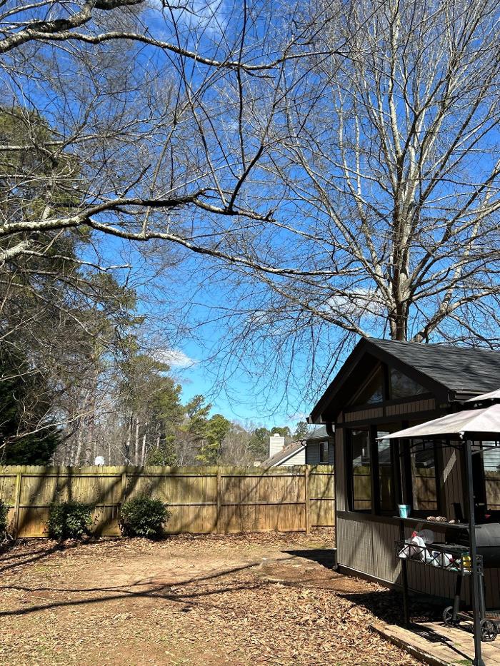 Southeast Tree - Marietta, GA