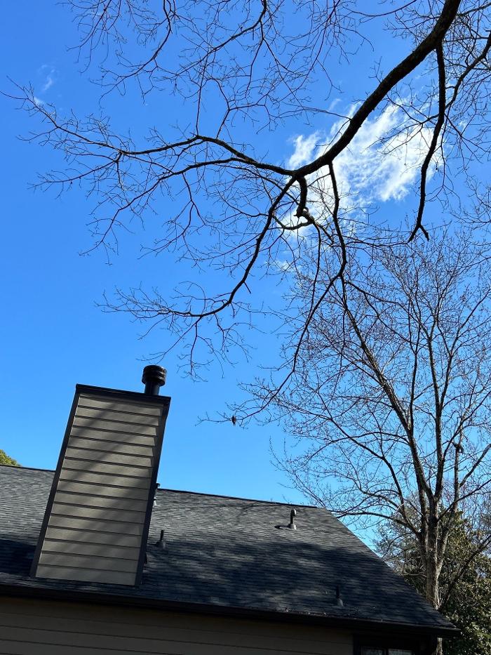 Southeast Tree - Marietta, GA