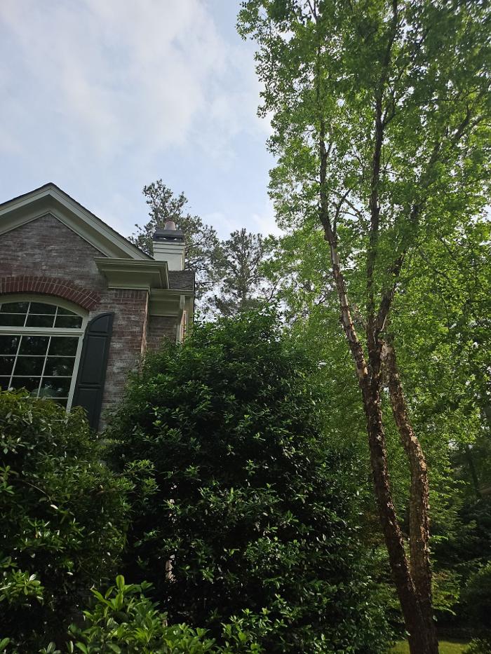 Southeast Tree - Marietta, GA