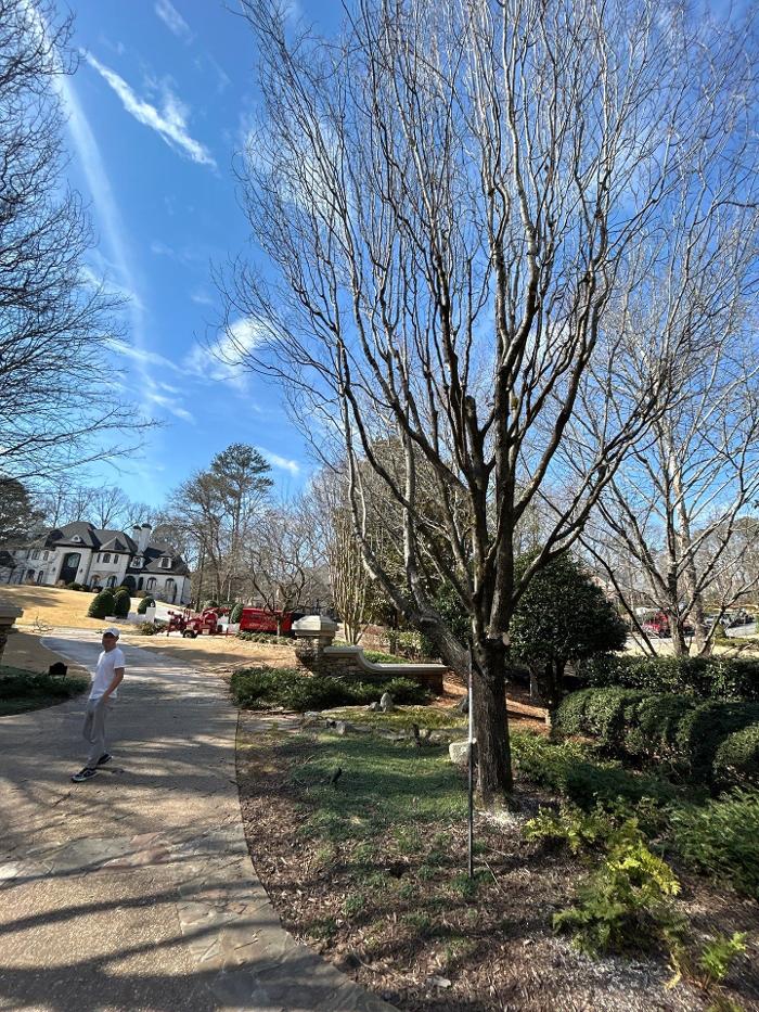 Southeast Tree - Marietta, GA