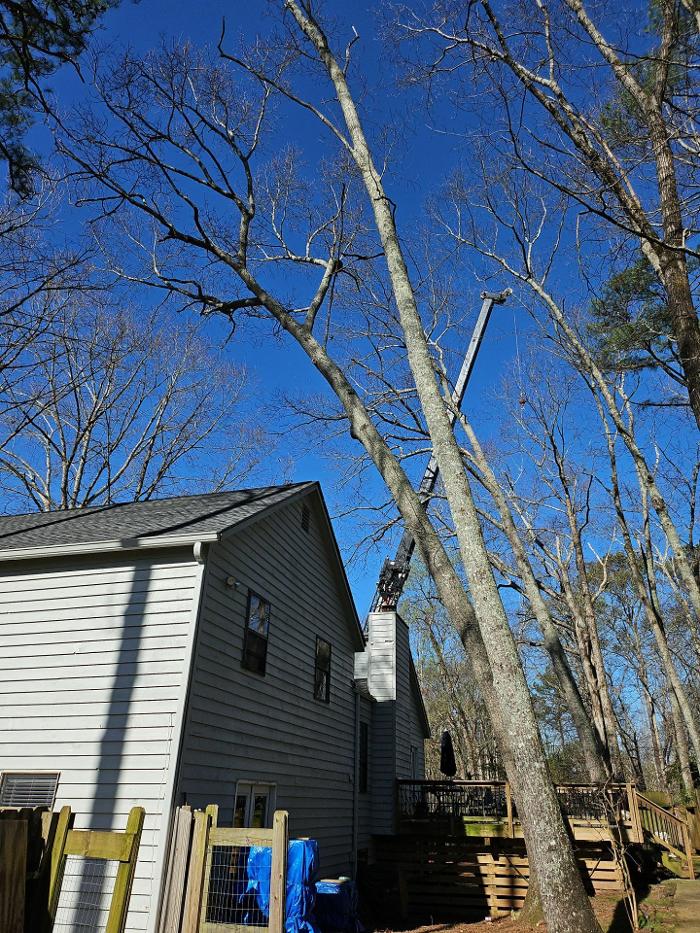 Southeast Tree - Marietta, GA