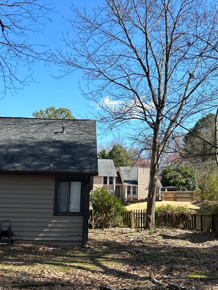 Southeast Tree - Marietta, GA