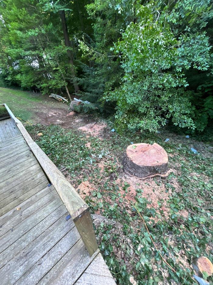 Southeast Tree - Marietta, GA