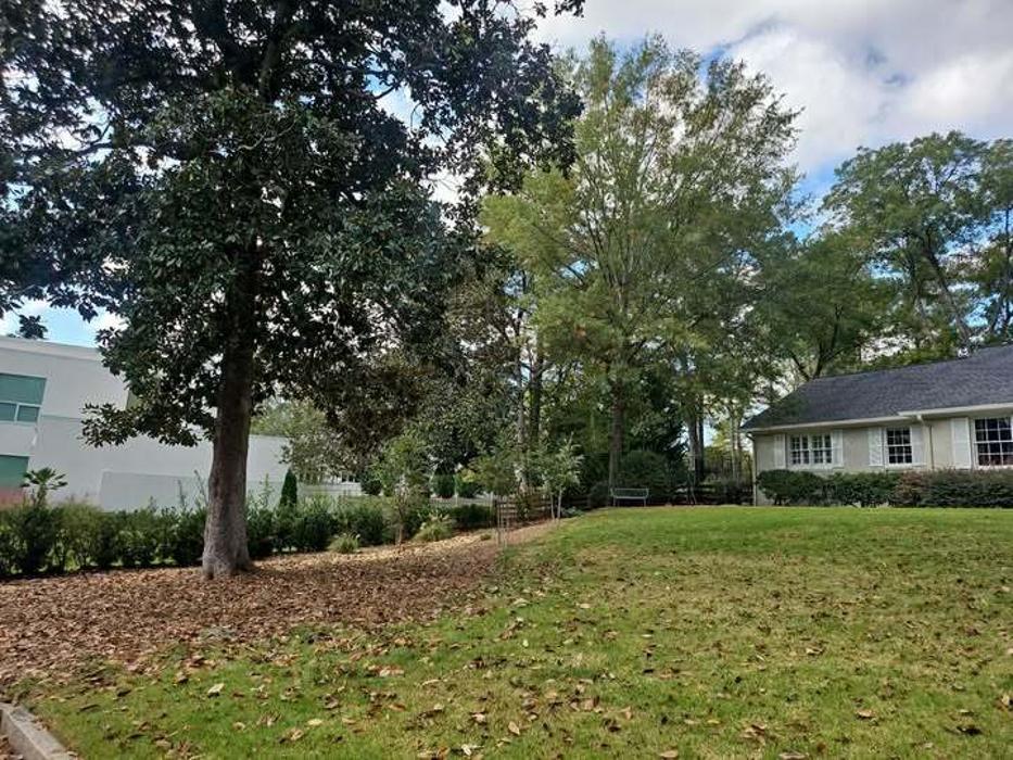 Southeast Tree - Marietta, GA