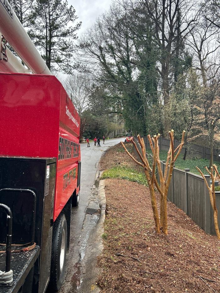 Southeast Tree - Marietta, GA