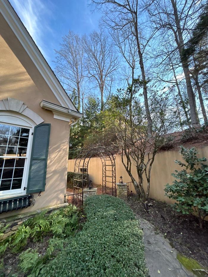 Southeast Tree - Marietta, GA