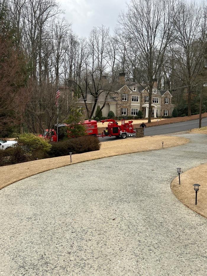 Southeast Tree - Marietta, GA