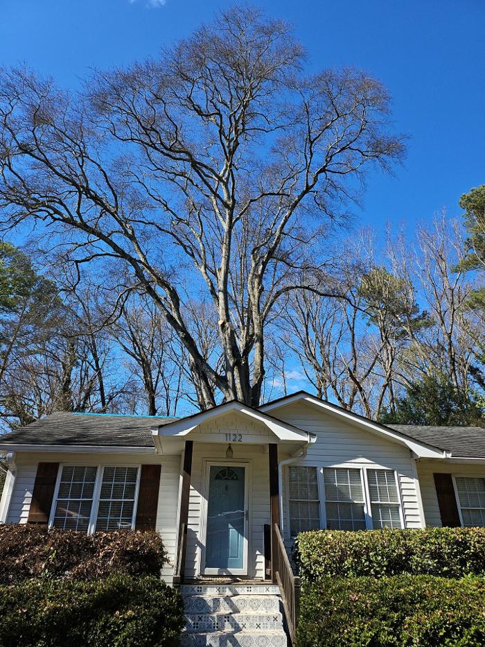 Southeast Tree - Marietta, GA