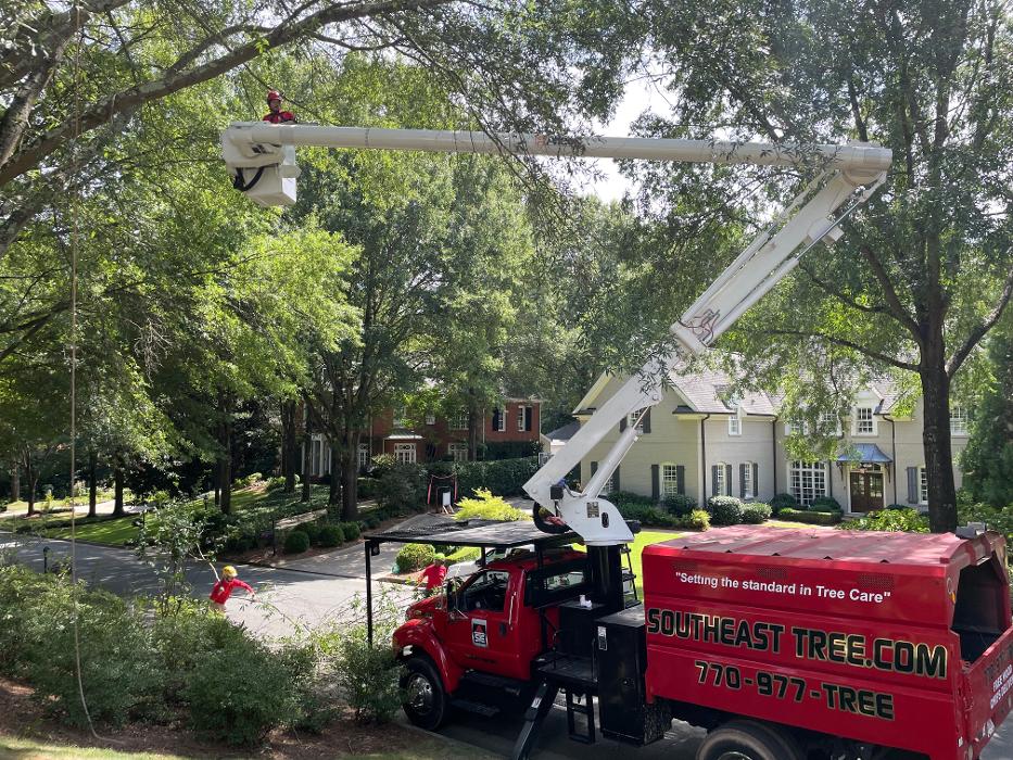 Southeast Tree - Marietta, GA