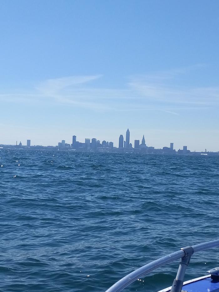 Black River Drain Image