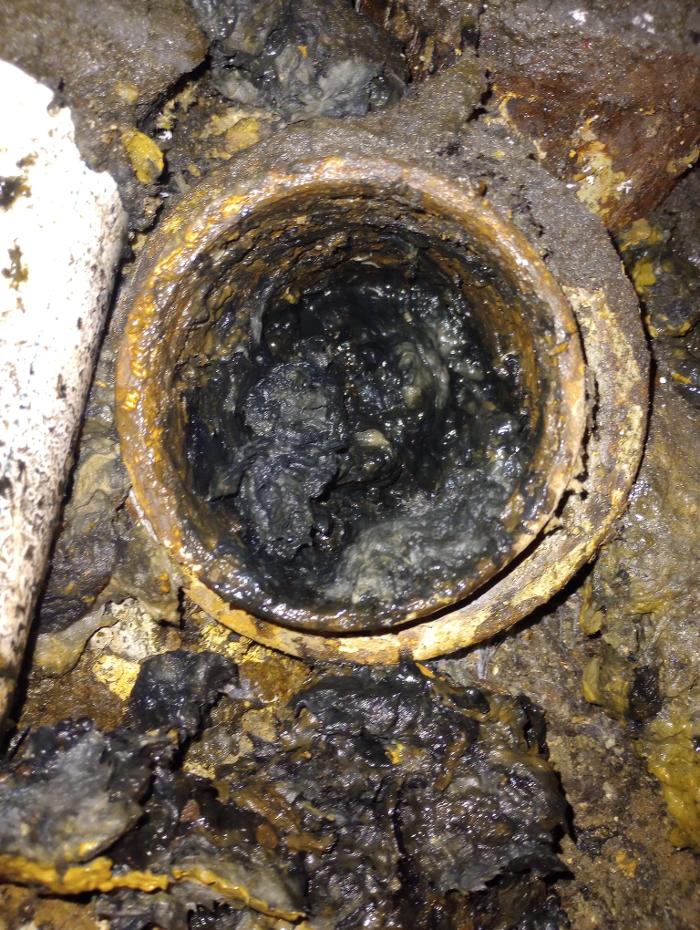 Black River Drain Image