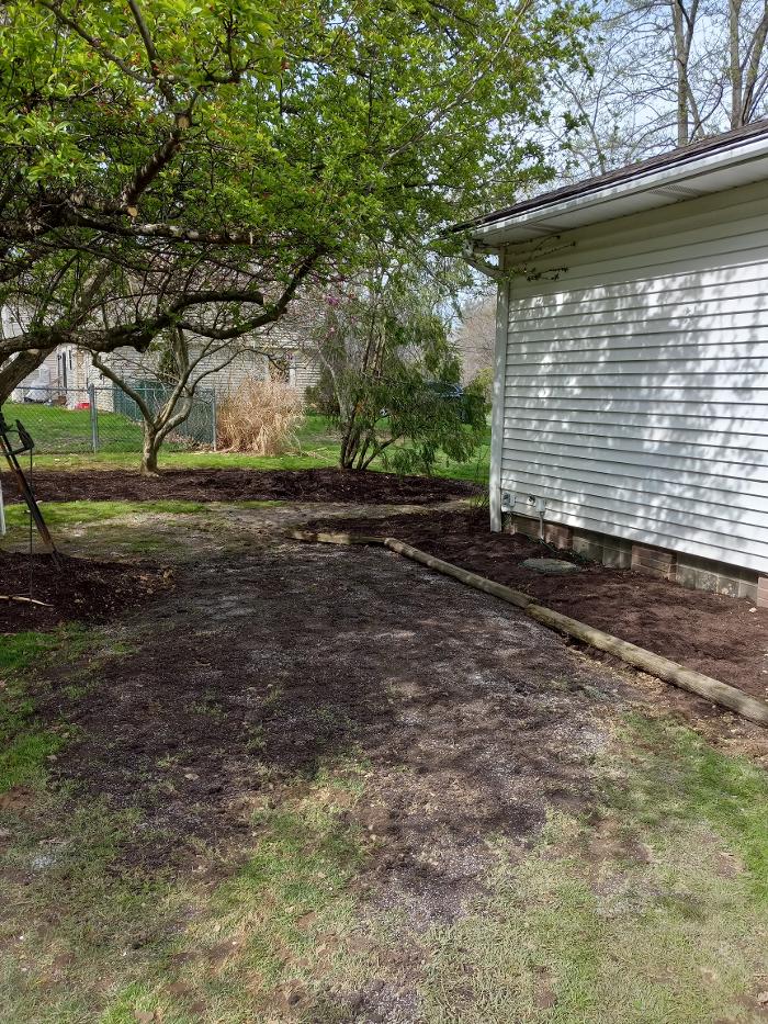 Black River Drain Image