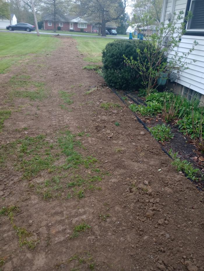 Black River Drain Image