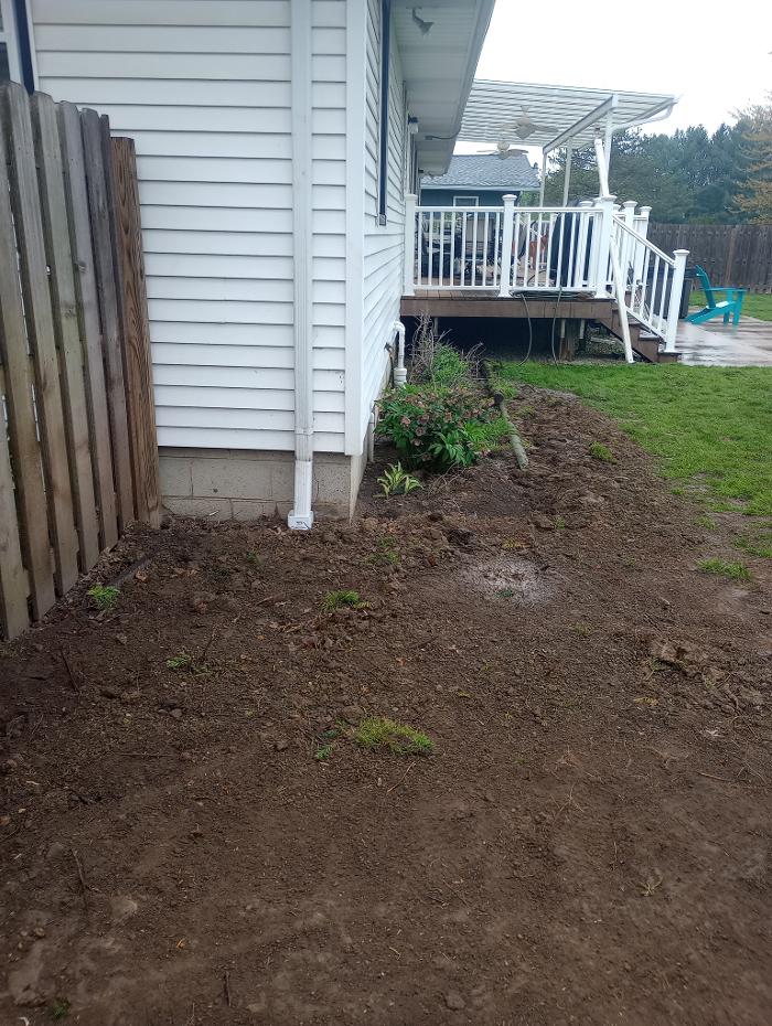 Black River Drain Image