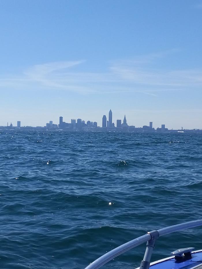 Black River Drain Image