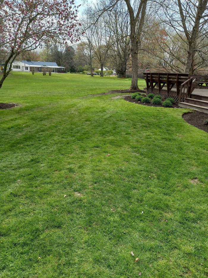 Black River Drain Image