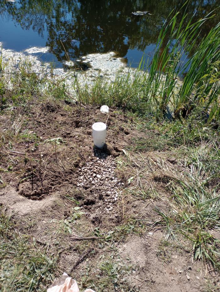 Black River Drain Image