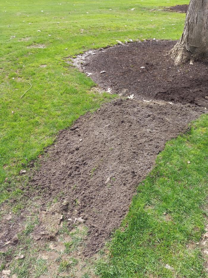 Black River Drain Image