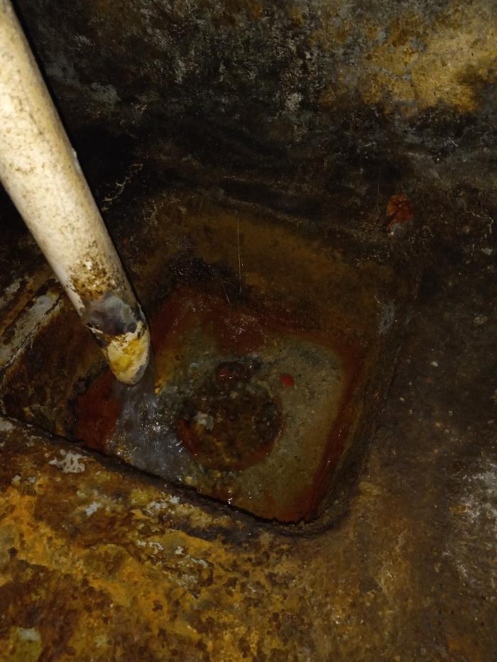 Black River Drain Image