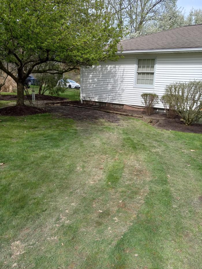 Black River Drain Image