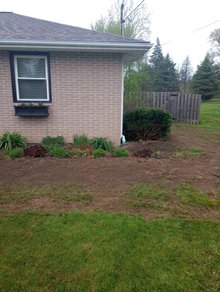 Black River Drain Image