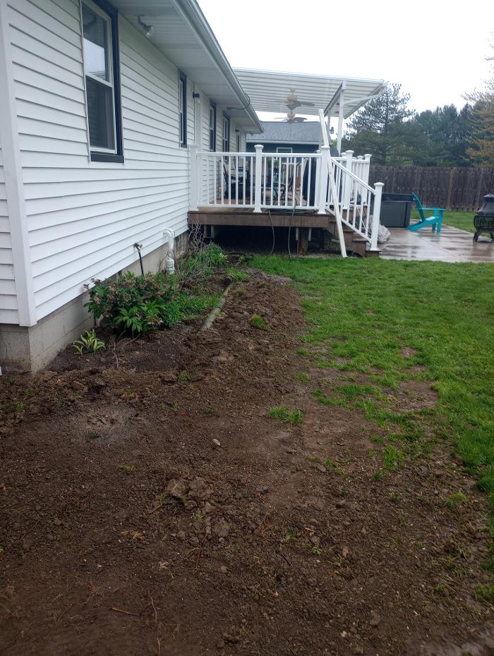 Black River Drain Image