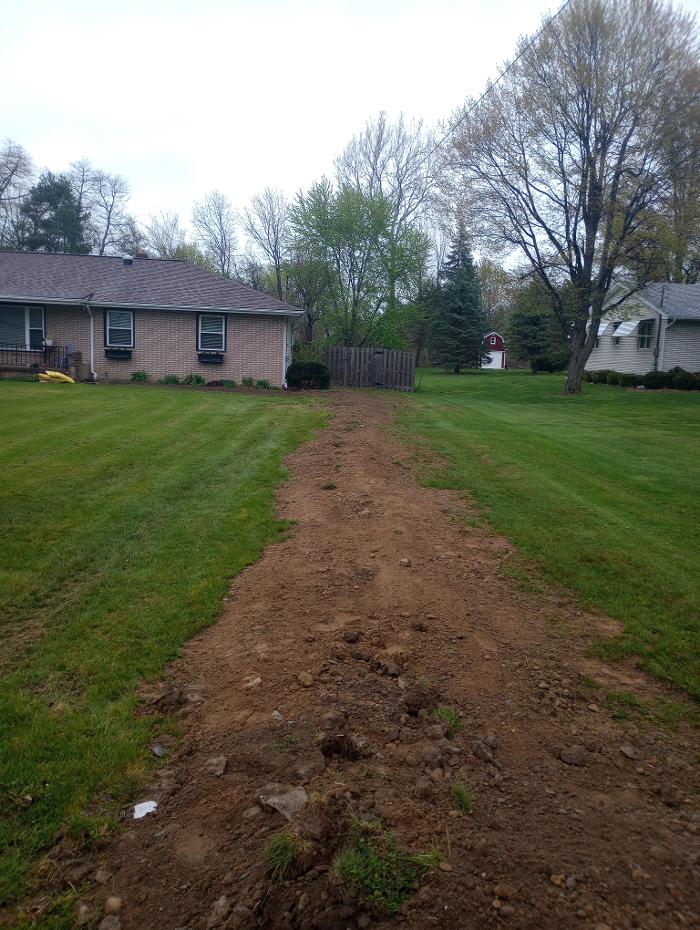 Black River Drain Image