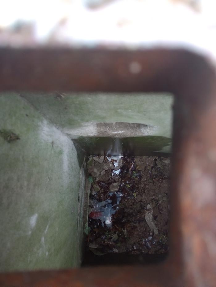 Black River Drain Image