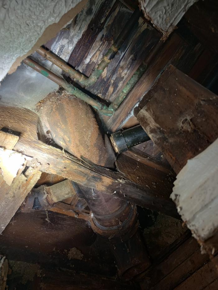 Black River Drain Image