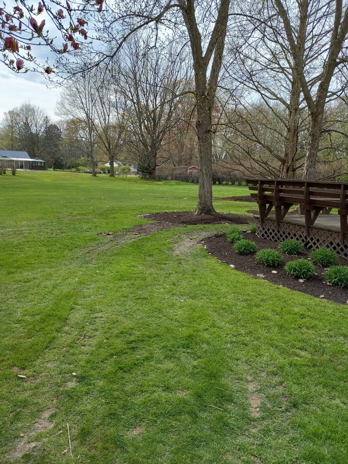 Black River Drain Image