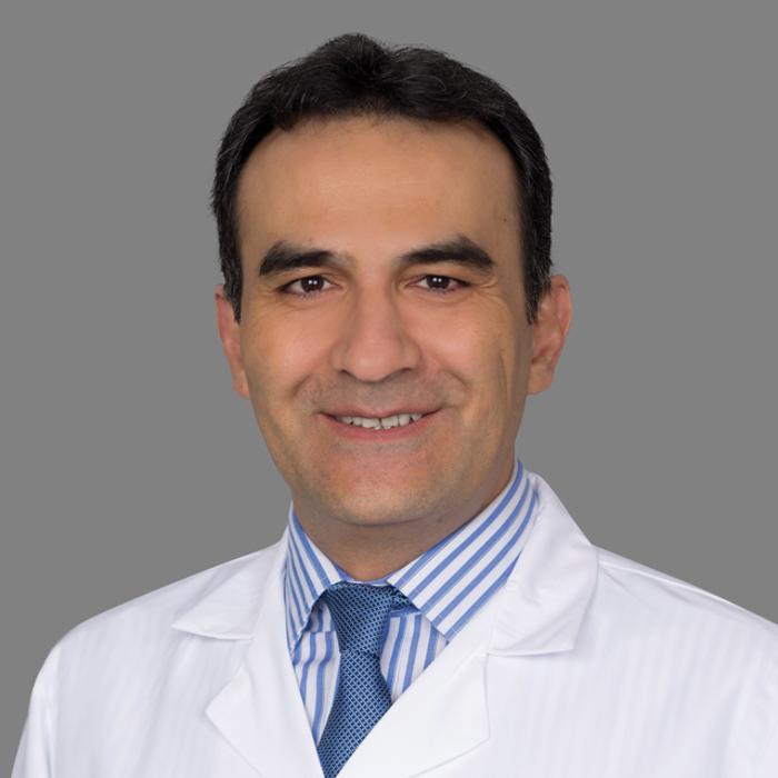 Sina J Milani, MD
