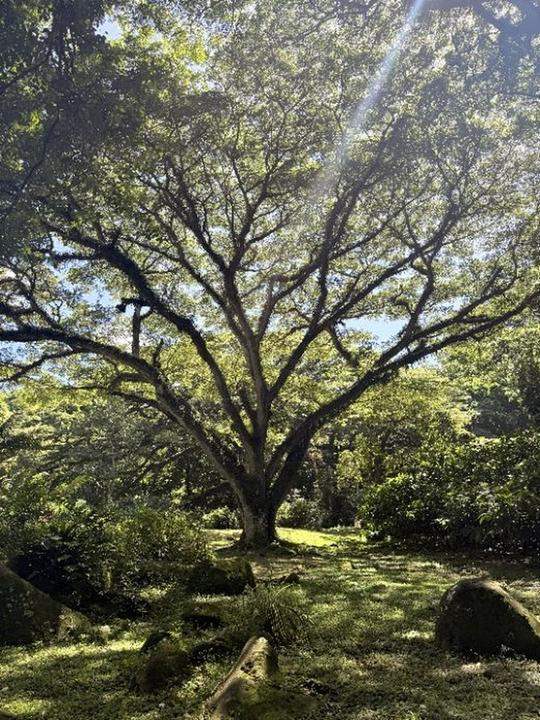 LE ZAMANA FUNERAIRE pompes funèbres, inhumation et crémation